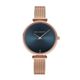 PAUL HEWITT�ʥݡ���ҥ塼���åȡ� �ڸ���� Lagoona 36mm and PHREP Lite ������������� XS������ ��ǥ����� ��PH-PM-20-XS��