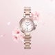 CITIZEN xC�ʥ����������ˡڸ���2100�ܡ�mizu collection SAKURA Limited Model 2025 Eco-Drive ���ȡ�ES9467-89N��