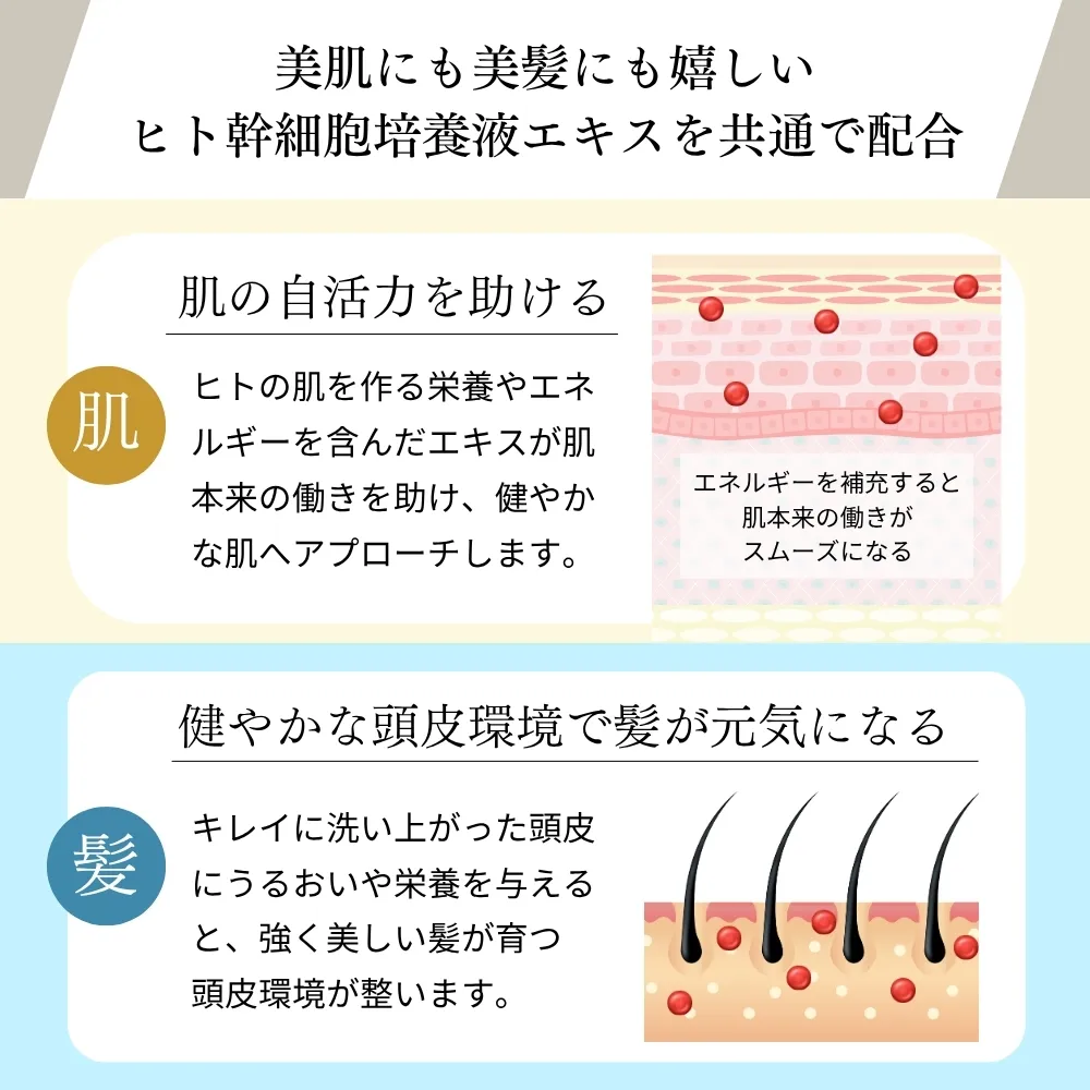 �ߥ�֥��ܡ���ʥӥ塼�ƥ����ˡ�����̵���ܥ᡼����1ǯ�ݾڡ�30���ִ����ݾڡ�