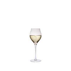 ߥ塼å ѡ˥8oz[ϥɥᥤ]miranda tulipe champagne 8oz