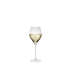 ߥ塼å ѡ˥ 10ozmiranda tulipe champagne 10oz