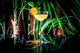 �ե��ꥢ��ƥ����� ����ɥ�[�ޥ���ᥤ��]<br>P.JAMESSE SIGNATURE Florian Thireau LONDON