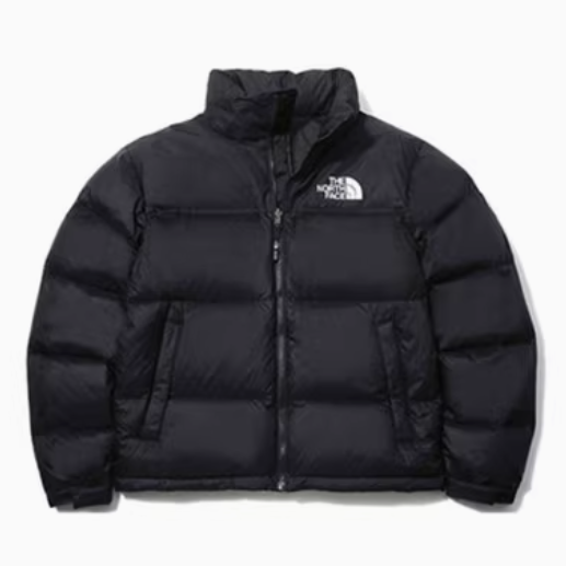 国内未発売 THE NORTH FACE ダウンジャケット M'S 1996 ECO