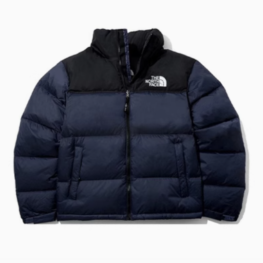 国内未発売 THE NORTH FACE ダウンジャケット M'S 1996 ECO