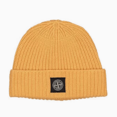 STONE  ビーニー ロゴパッチ付きメンズ入りビーニー | Stone Island