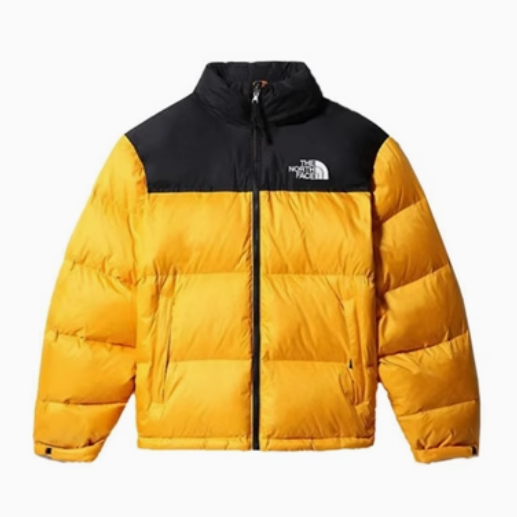 国内未発売 THE NORTH FACE ダウンジャケット M'S 1996 ECO