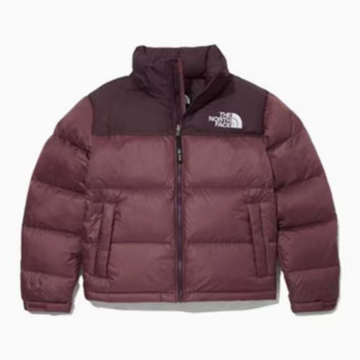 国内未発売 THE NORTH FACE ダウンジャケット M'S 1996 ECO NUPTSE
