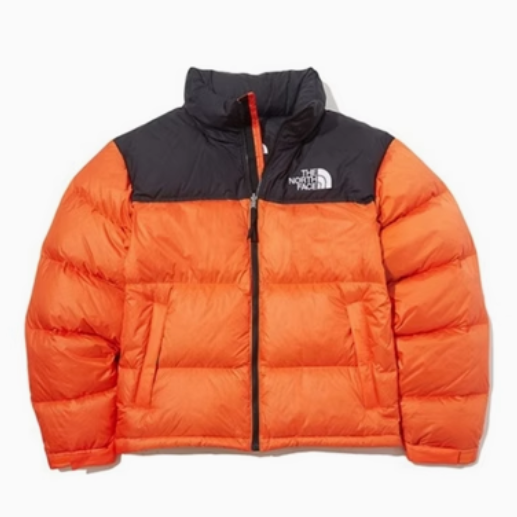 国内未発売 THE NORTH FACE ダウンジャケット M'S 1996 ECO NUPTSE