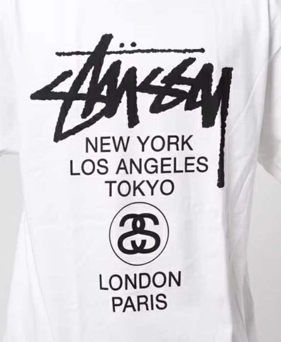 Stussy ステューシー ワールドツアー Tシャツ World Tour T
