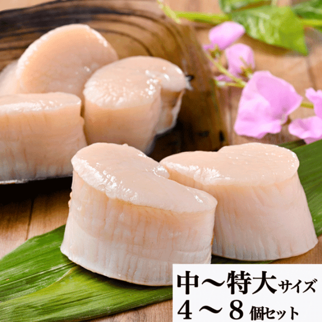 天然平貝　4~8個セット (冷凍) (送料無料)