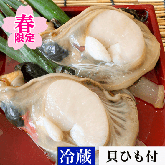 天然平貝　内蔵・ヒモ付き　( 冷ぞう )