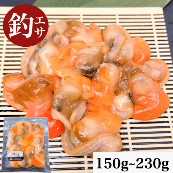 青柳(アオヤギ) 釣り餌  1袋 150g/230g　(平貝内蔵無料プレゼント)