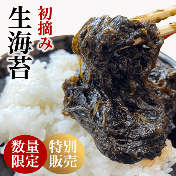 【数量限定】初摘み 生海苔(冷凍) 1kg