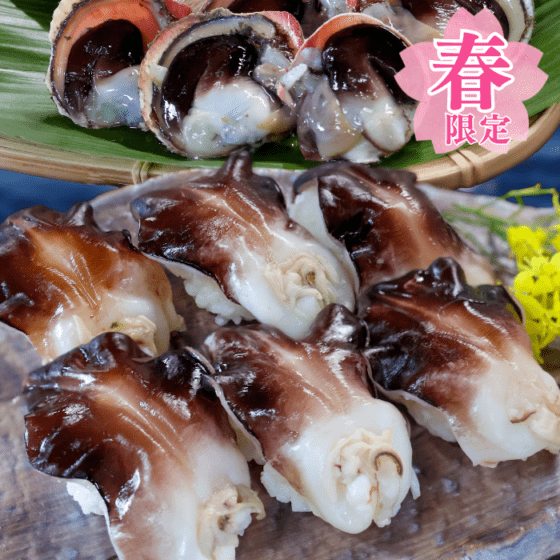 天然とり貝 ９枚入り（中～特大）【冷ぞう】(春限定)