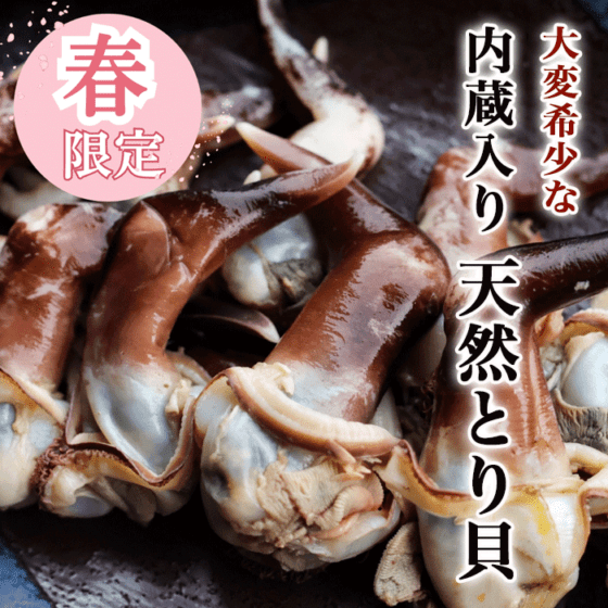 【冷ぞう】(大変希少な) 天然とり貝 トンボ(内蔵付き)  ※ご指定日不可・不定期販売商品・春限定