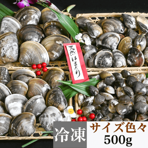 サイズ色々 天然本はまぐり 500g 三河湾産 