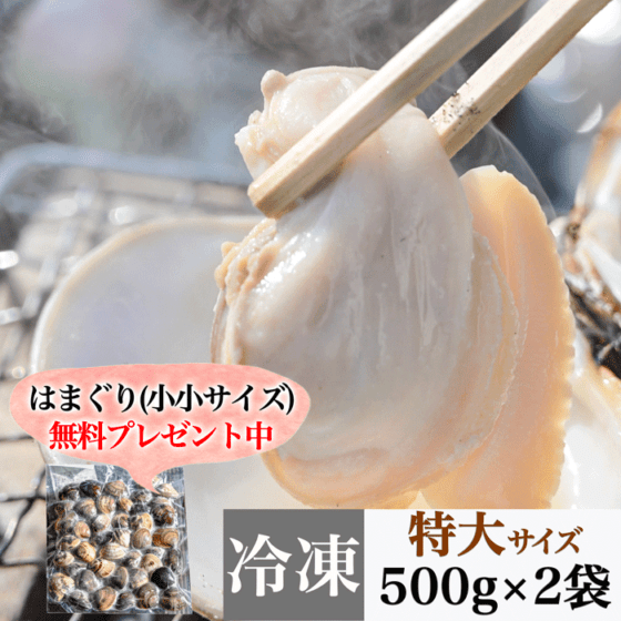 (小小サイズ無料プレゼント中) 温めるだけで殻がパッと開く　天然はまぐり 三河湾産 500g×２袋 砂抜き済み  　（冷凍）（特大サイズ）
