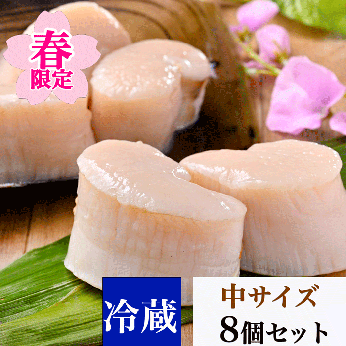 (春限定) 天然平貝 中サイズ 8個セット 【冷ぞう】 (送料無料)