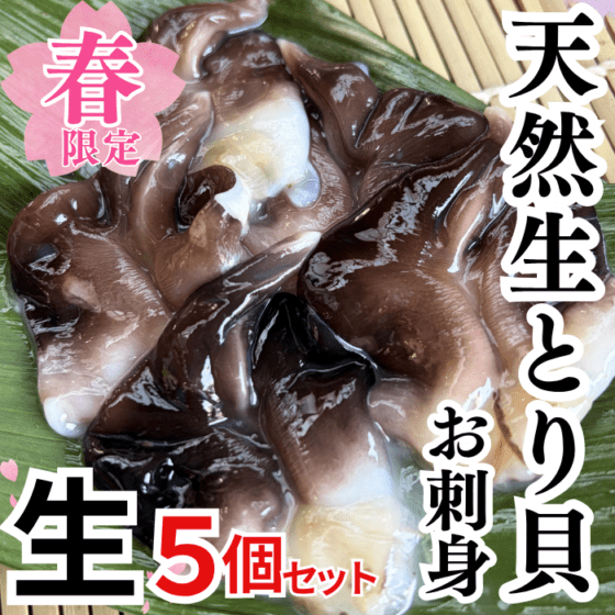 天然生とり貝開き　５個セット  【冷ぞう】　下処理済み お刺身・炙り・握りに