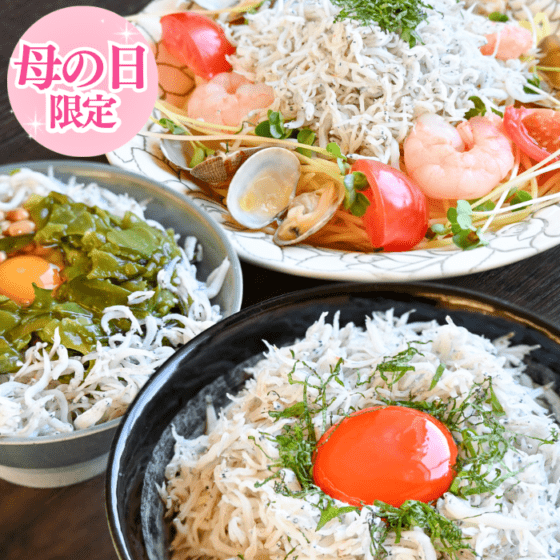 【母の日限定特別セット】体が喜ぶ海の恵セット 茎わかめ佃煮無料プレゼント中 (送料無料)
