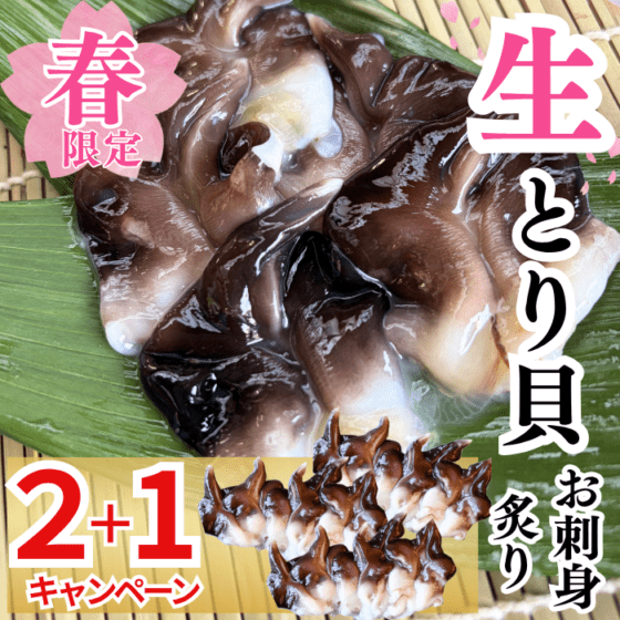 (人気No.1)(春限定キャンペーン) 天然生とり貝開き　合計15個  【冷ぞう】　下処理済み お刺身・炙り・握りに