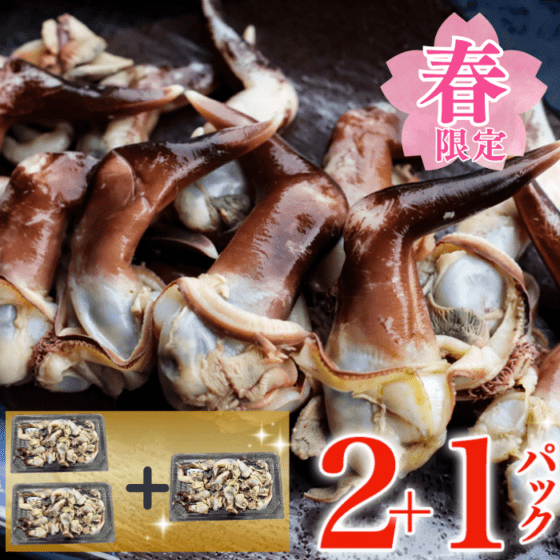 【冷ぞう】【春限定】天然とり貝トンボ（内蔵付き）2＋1｜数量限定【お届け指定日不可】