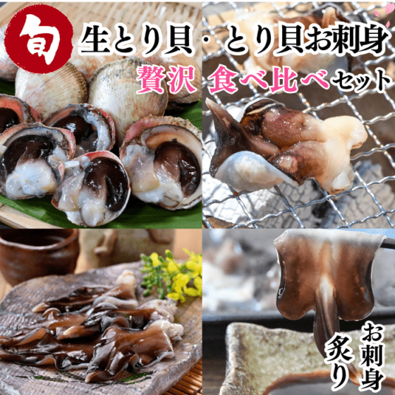 天然貝 天然貝(活貝) | 岬だより オンラインストア 小物入れ