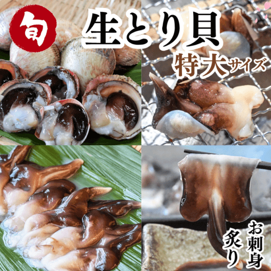 お買い得パック) 訳あり 天然とり貝 冷凍 | すべての商品 | 岬だより