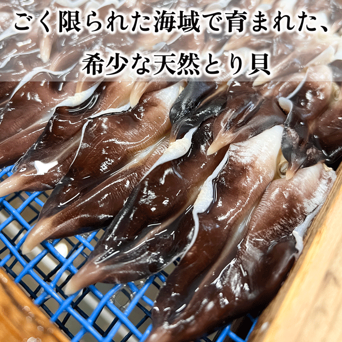 天然とり貝 ９枚入り特大サイズ 【冷ぞう】