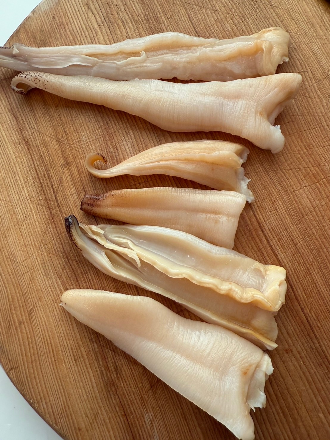 活天然白みる貝　1kg～2kg （小～特大サイズ）