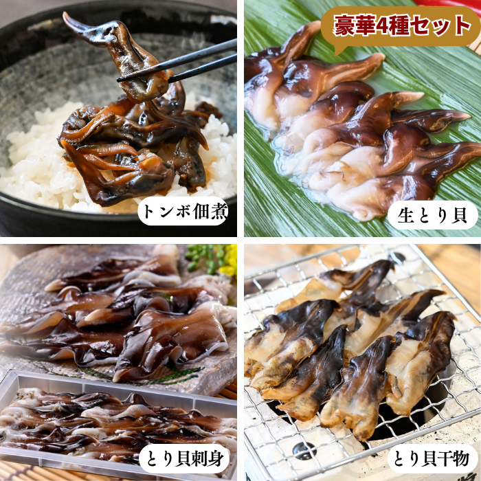 (リニューアルバージョン)★旬のとり貝を心ゆくまで味わいたい方に ~天然とり貝極みセット~【冷ぞう】(送料無料)
