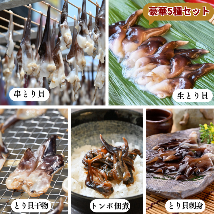 (リニューアルバージョン)★旬のとり貝を心ゆくまで味わいたい方に ~天然とり貝極みセット~【冷ぞう】(送料無料)