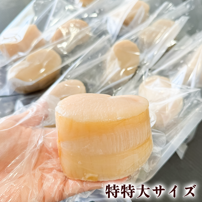 天然平貝 4~8個セット (冷凍) (送料無料)