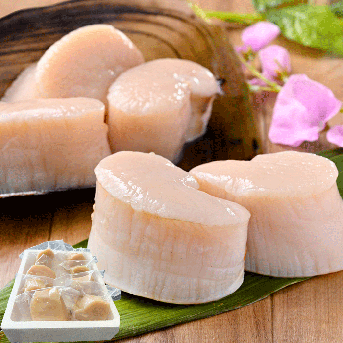 天然平貝 4~8個セット (冷凍) (送料無料)