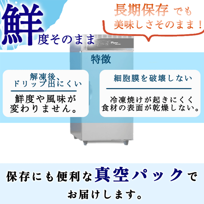 天然平貝 4~8個セット (冷凍) (送料無料)