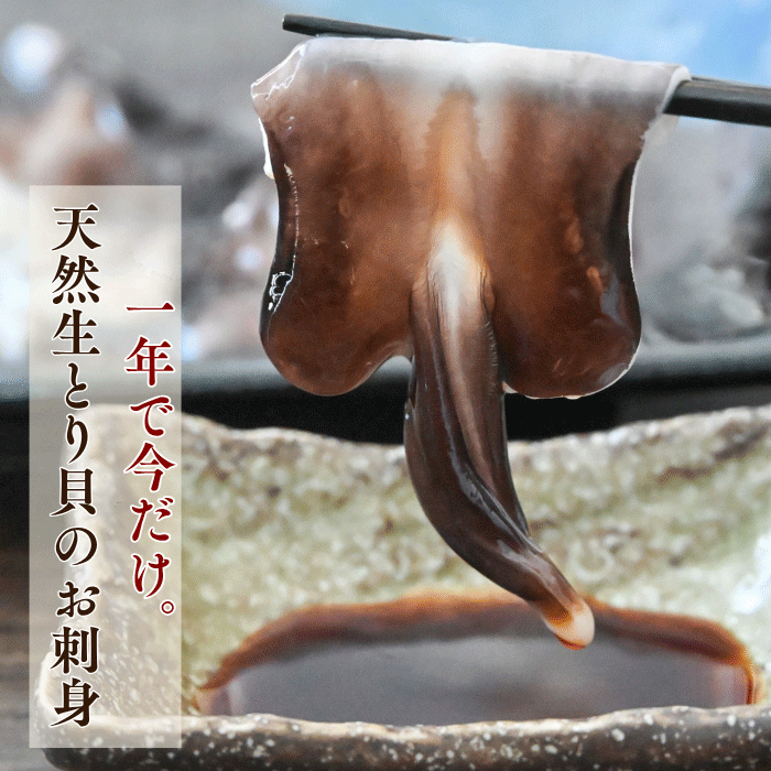 生とり貝・とり貝お刺身　贅沢食べ比べセット 【冷ぞう】(送料無料)トロあじ・金目鯛の干物サービス中　配送指定日不可