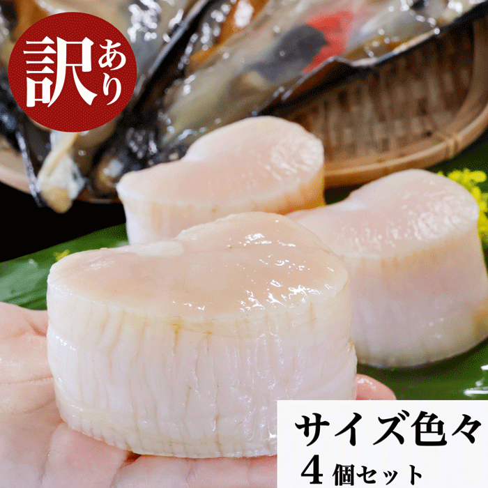 (訳あり）天然平貝 サイズ色々 4個セット(お刺身) (愛知県三河湾産)