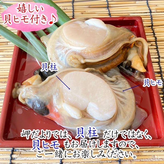 天然平貝　内蔵・ヒモ付き