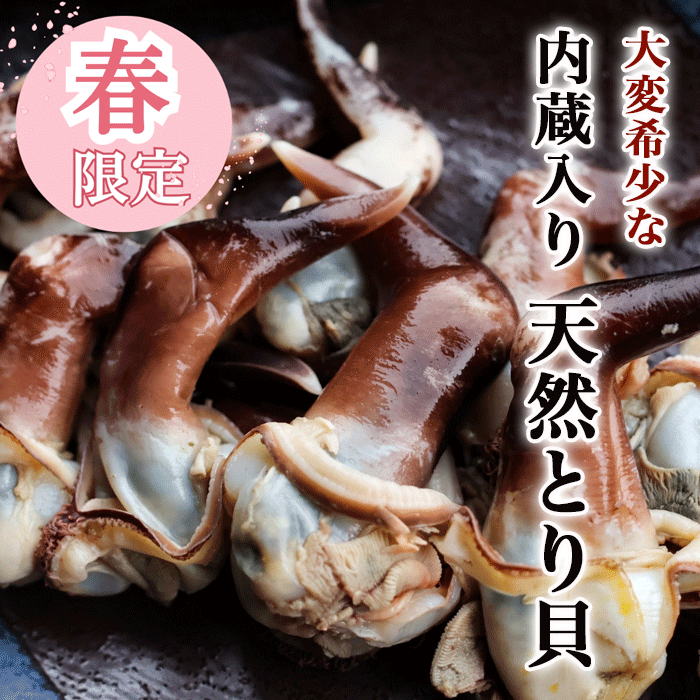 岬だより オンラインストア | 2026年春・旬の天然貝特集