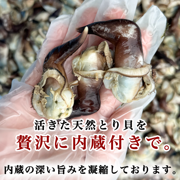 (期間限定特別キャンペーン)(50%増量中) 幻のトンボ (とり貝内蔵付き) ※ご指定日不可【冷ぞう】