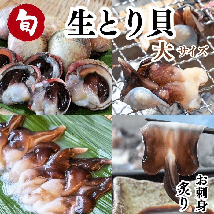【季節限定】天然生とり貝開き 5枚 (大サイズ) 下処理済み お刺身・炙り・握りに 【冷ぞう】配送指定日不可