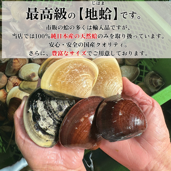 ★季節限定商品 天然はまぐり  (大サイズ)1kg 砂抜き済み　三河湾産