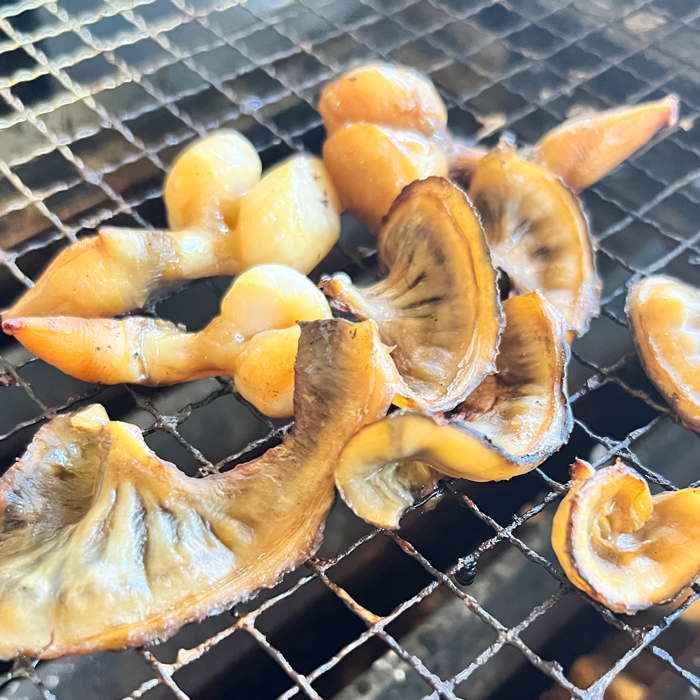 平貝ヒモの干物