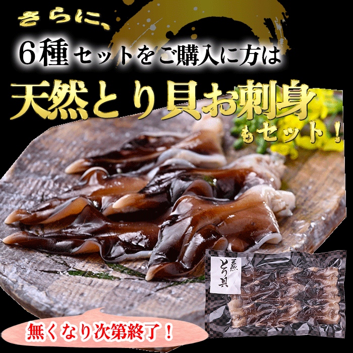 (リニューアルバージョン) 究極の天然貝の干物セット～★今なら特別プレゼント付き～　