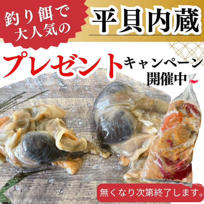 青柳(アオヤギ) 釣り餌  1袋 150g/230g　(平貝内蔵無料プレゼント)