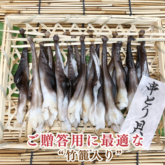 (伊勢神宮外宮奉納品) 串とり貝、とり貝お刺身食べ比べセット (送料無料) (冷凍)トロあじ・金目鯛の干物サービス中