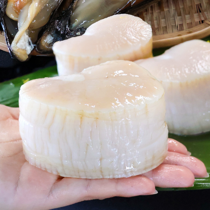 (特大サイズ)天然平貝むき身 4個セット　 (送料無料)(貝柱のみ)