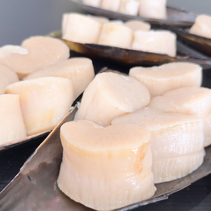 (特大サイズ)天然平貝むき身 4個セット　 (送料無料)(貝柱のみ)