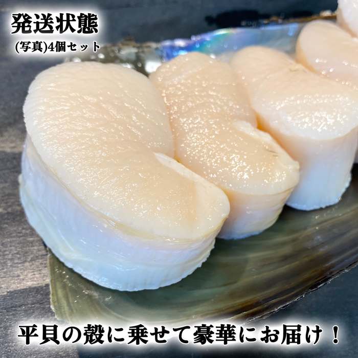 (特大サイズ)天然平貝むき身 4個セット　 (送料無料)(貝柱のみ)
