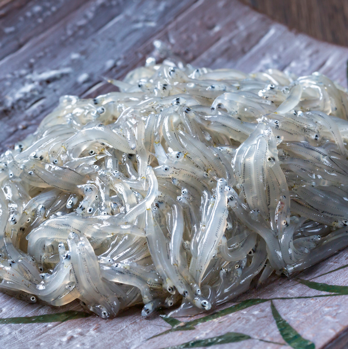 知多半島 秋の生しらす食べ比べセット 合計４パック